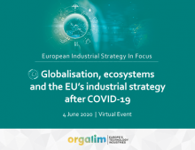 Globalisation, ecosystems and the EU’s industrial strategy after COVID-19