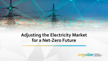 Adjusting the Electricity Market for a Net-Zero Future